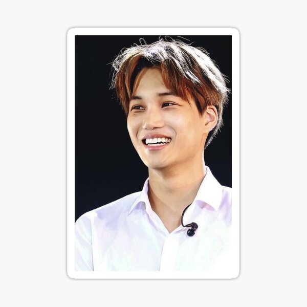 Exo Kai Stickers for Sale | Redbubble