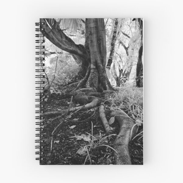 Item preview, Searching designed and sold by Craig Hender.