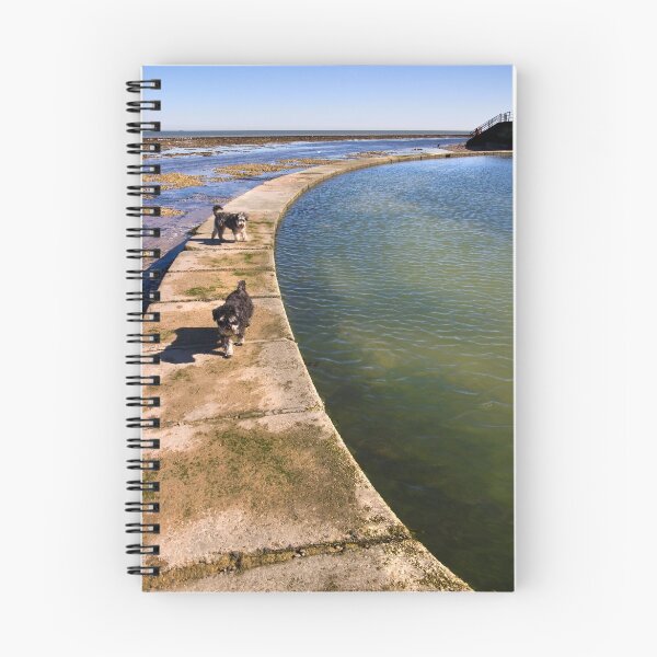 Item preview, Crabbing Pool at Minnis Bay designed and sold by Geoff Carpenter.