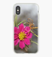 #nature #flower #outdoors #leaf #summer #garden #bright #growth #season #horizontal #colorimage #nopeople #plant #colors #closeup #fragile #day iPhone Case