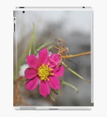#nature #flower #outdoors #leaf #summer #garden #bright #growth #season #horizontal #colorimage #nopeople #plant #colors #closeup #fragile #day iPad Case/Skin