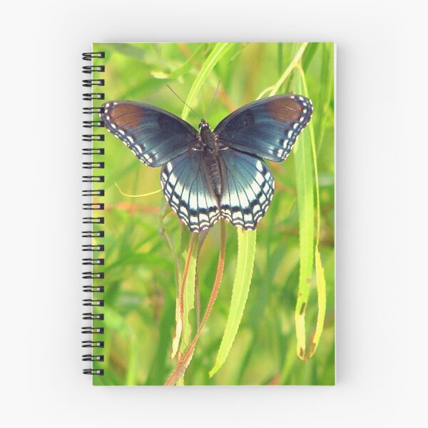 Item preview, Red-Spotted Purple Admiral designed and sold by DottieDees.
