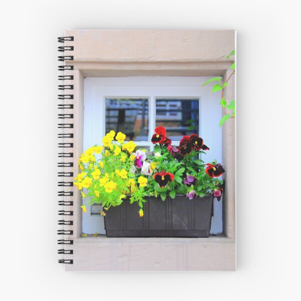 Item preview, Window 1 designed and sold by Merce Duran Queral.