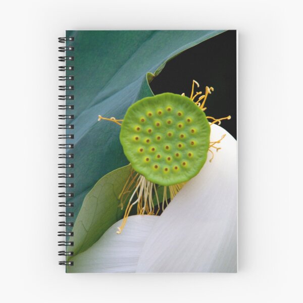 Item preview, White Lotus designed and sold by Janos Sison.