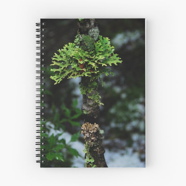 Item preview, Lichen  designed and sold by Nigel Fox.