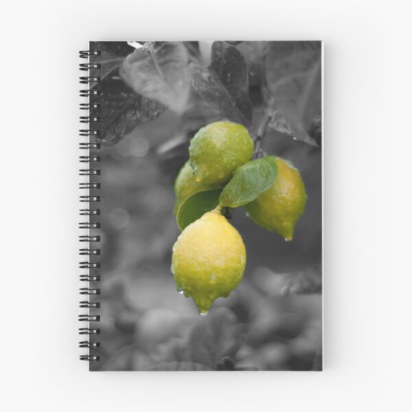 Aperçu de l'œuvre Citrons créée et vendue par Brenton Ford.