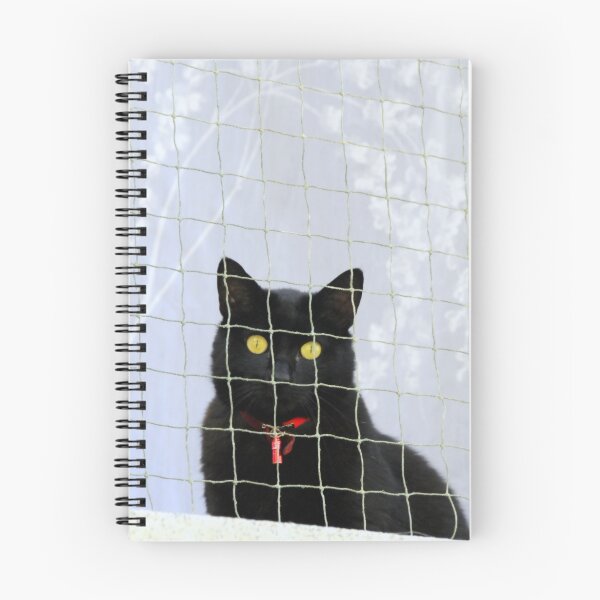 Artikelvorschau, Black Cat entworfen und verkauft von Merce Duran Queral.