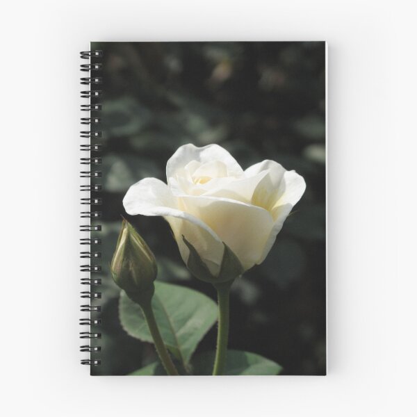 Item preview, White Rose and Bud designed and sold by Gordon Taylor.