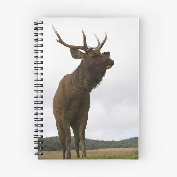 Item preview, Sambar Stag designed and sold by Neil Bygrave (NATURELENS).
