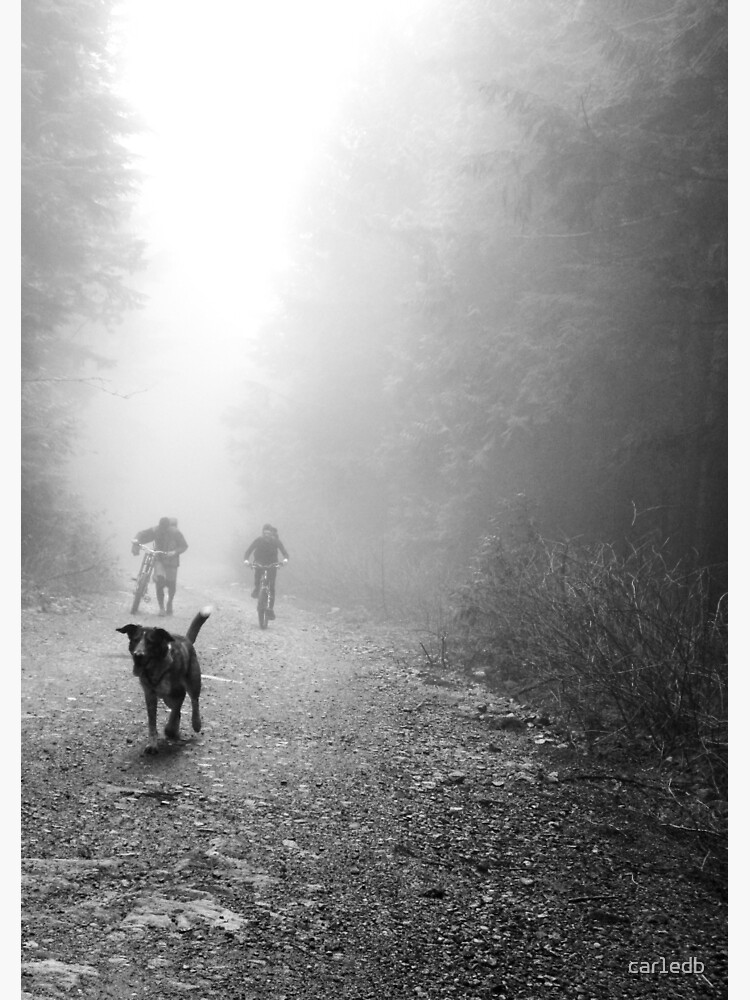 Thumbnail 3 of 3, Journal, Fog Dog -Mt Fromme, winter ‘08 designed and sold by car1edb.