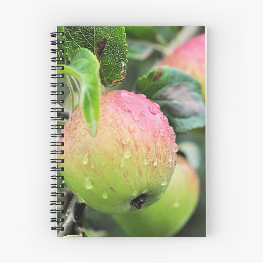Vista previa del artículo con la obra «Cuaderno de espiral», diseñado y vendido por Lindamell.