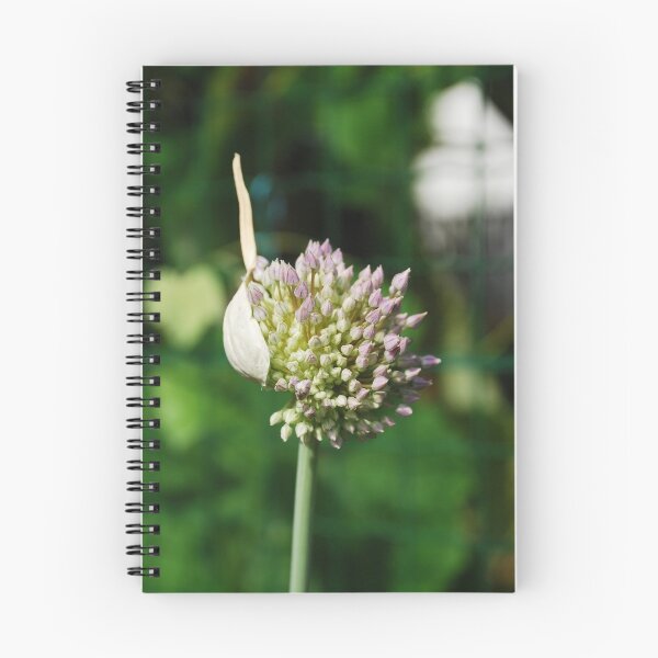 Item preview, Allium Flower  designed and sold by jojobob.