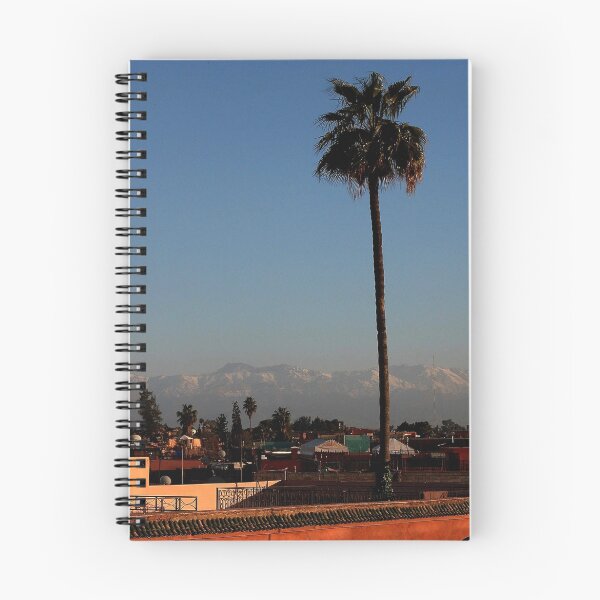 Aperçu de l'œuvre Lone Palm Marrakesh. créée et vendue par romaro.