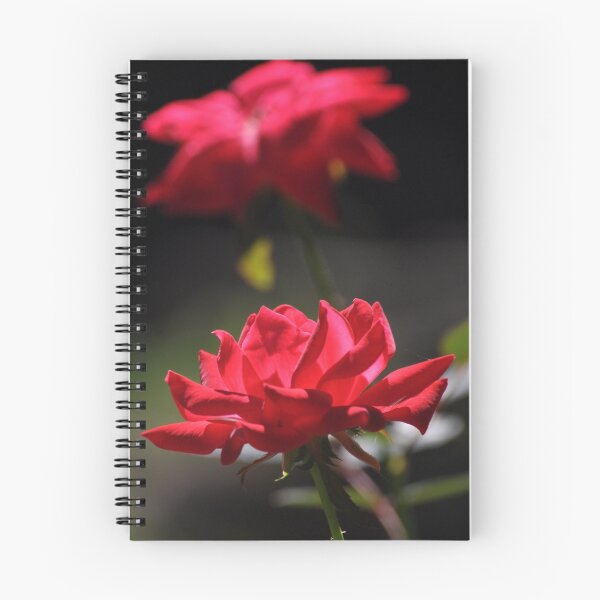 Item preview, Knockout rose flowers designed and sold by mltrue.