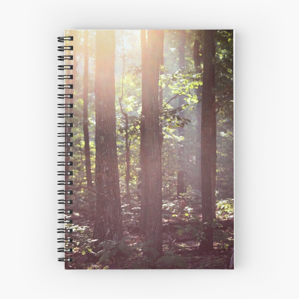 Item preview, Spiral Notebook designed and sold by bbarnard.