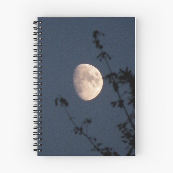 Item preview, 'Moonrise' designed and sold by Scott Bricker.