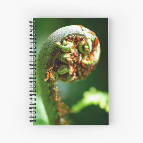 Item preview, Fiddlehead designed and sold by Jason Weigner.