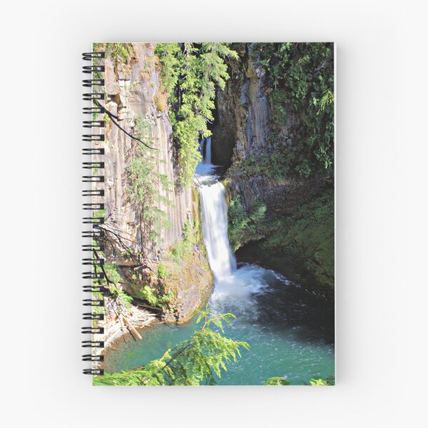 Artikelvorschau, Toketee Falls, Oregon entworfen und verkauft von dgsoregon.