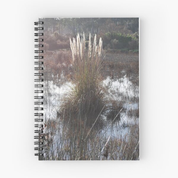 Item preview, Bulrushes at Jackass Flat designed and sold by Lorraine McCarthy.