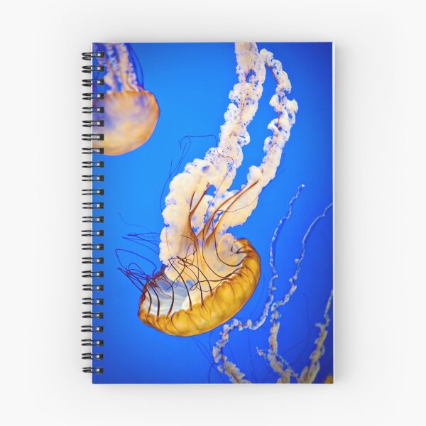 Item preview, Pacific Sea Nettle (Jellyfish) designed and sold by Jodi Morgan.