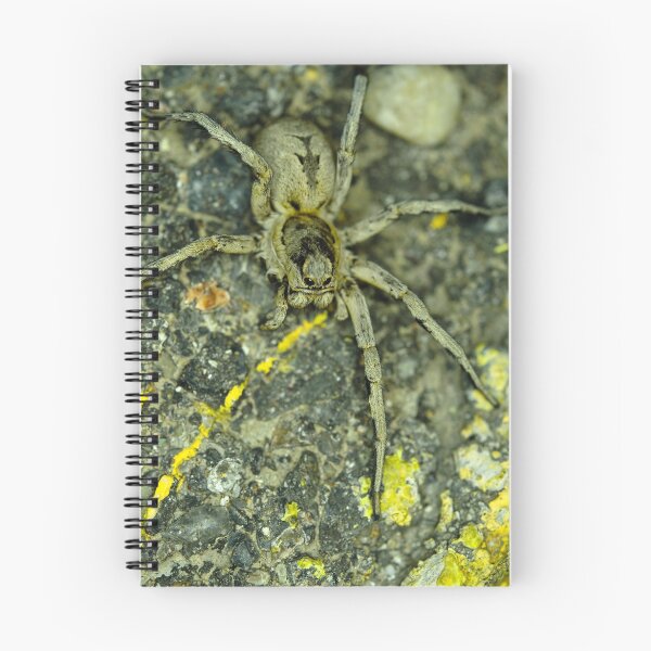 Item preview, araña designed and sold by ser-y-star.
