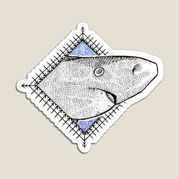 Greenland shark Magnet