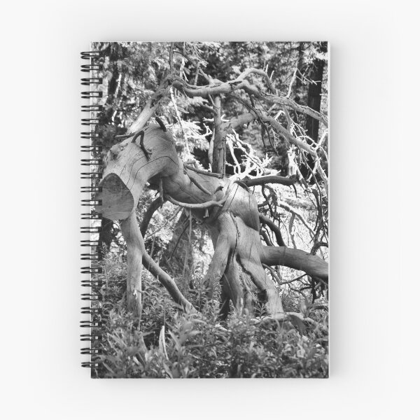 Item preview, Black and White Beauty designed and sold by HeavenOnEarth.