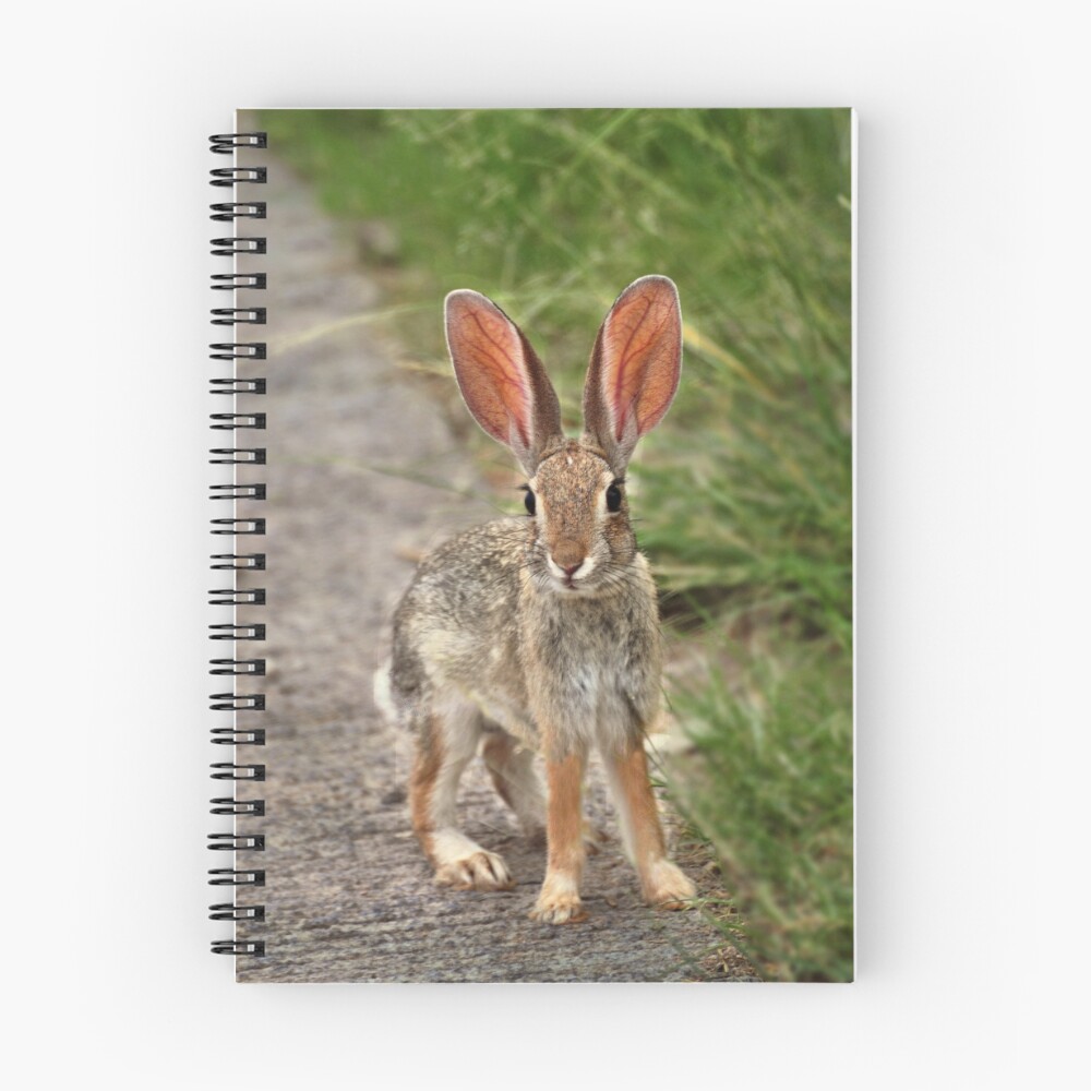 Item preview, Spiral Notebook designed and sold by BarbaraManis.