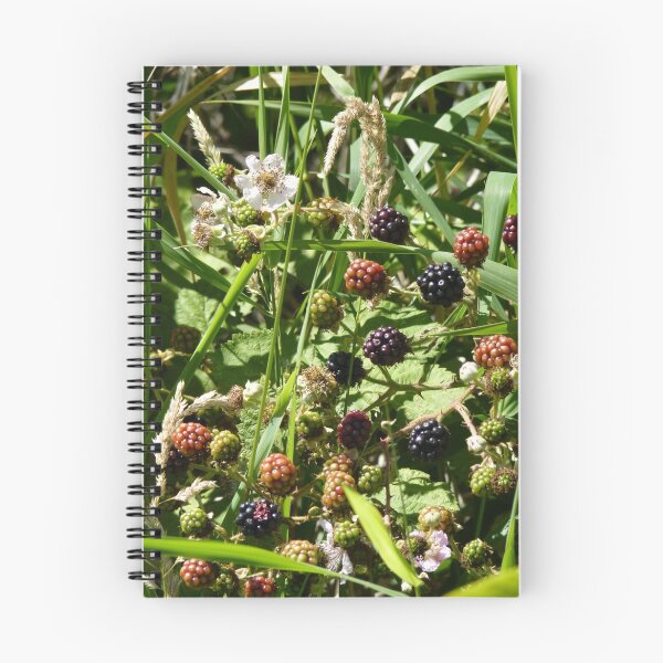 Item preview, Blackberries and flower on San Juan Island in August designed and sold by MischaC.