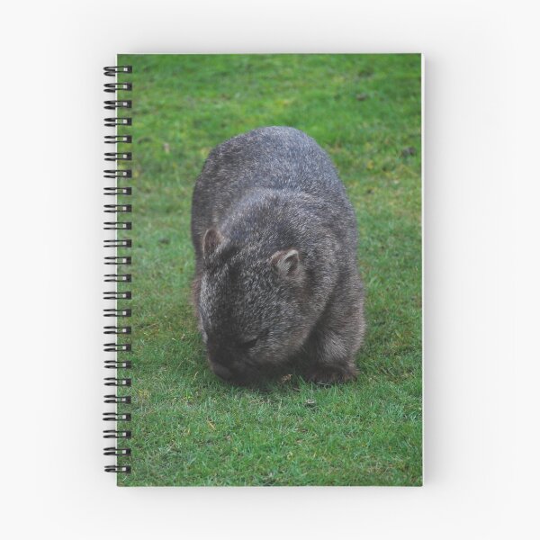 Item preview, Wombat grazing designed and sold by Nigel Fox.