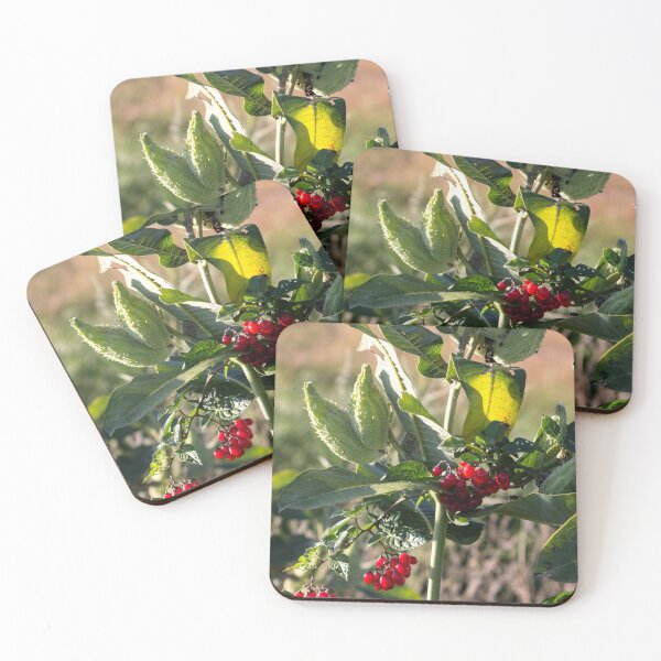 Item preview, Milk Weed and Red Berries designed and sold by Susie Kramer.