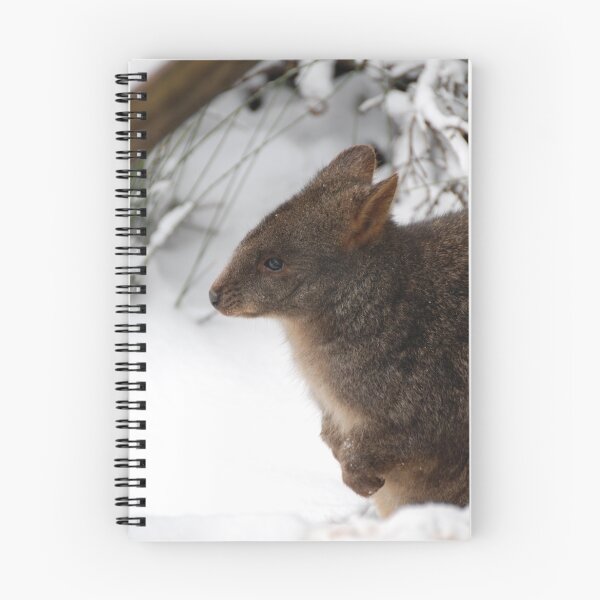 Item preview, Pademelon (Paddy-melon) in Snow designed and sold by Nigel Fox.