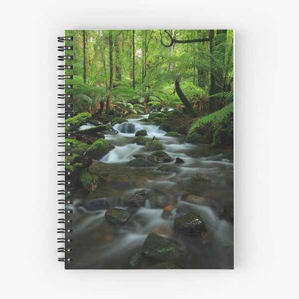 Item preview, The  Warburton Rainforest Gallery. designed and sold by Donovan Wilson.