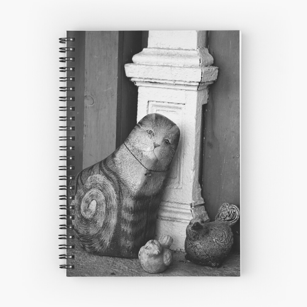 Item preview, Spiral Notebook designed and sold by jumpinjimmyjava.