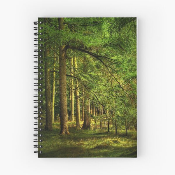 Item preview,  Forest in Bowland  designed and sold by Irene  Burdell.