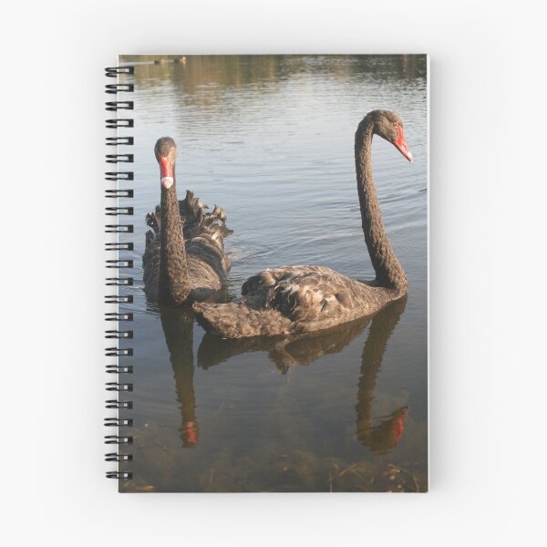 Item preview, A Couple of Swans ;) designed and sold by HeidiForeman.