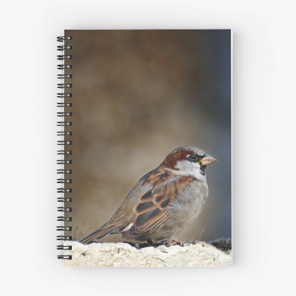 Item preview, The Sparrow designed and sold by Declan Carr.