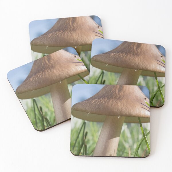 Item preview, Toadstool designed and sold by Susie Kramer.