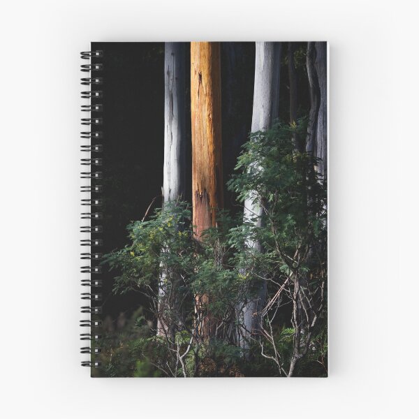 Item preview, Eucalypts designed and sold by Mike Calder.