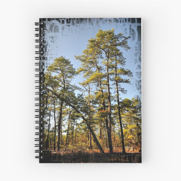 Item preview, New Jersey Pinelands designed and sold by busidophoto.