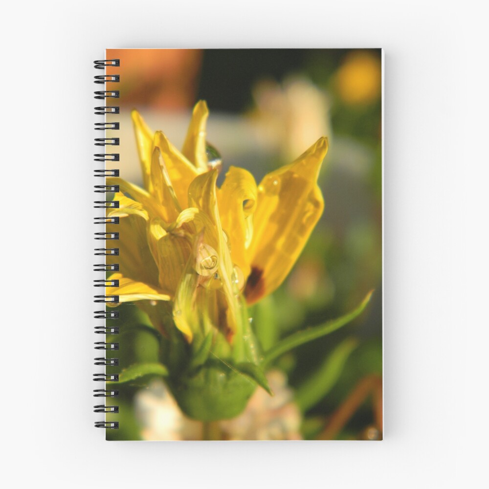Item preview, Spiral Notebook designed and sold by leyla.