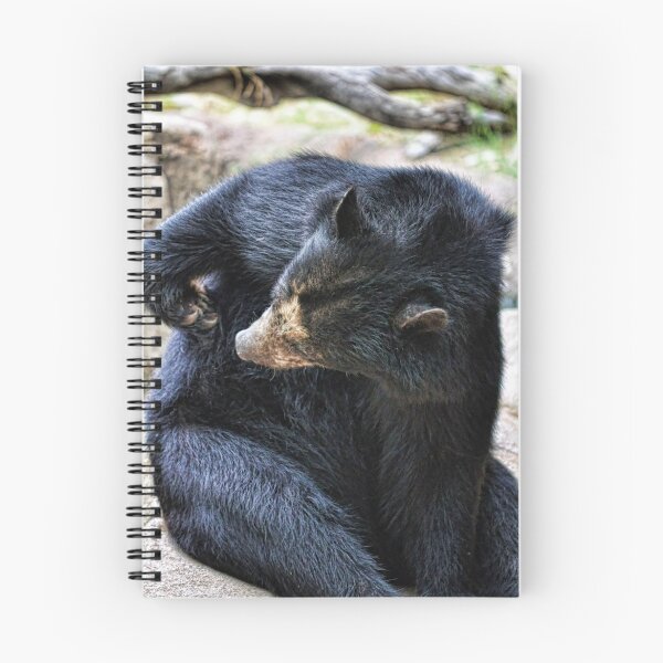 Item preview, Now where did I put it?? designed and sold by Saija  Lehtonen.