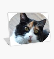 Calico pussy flea Laptop Skin