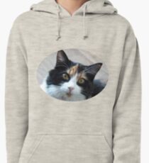Puce chatte calicot Sweat à capuche