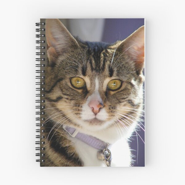 Item preview, All the better to hear you with... designed and sold by Elizabeth Rose Rawlings.