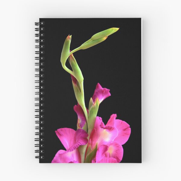 Item preview, Gladiolus art designed and sold by tonni.