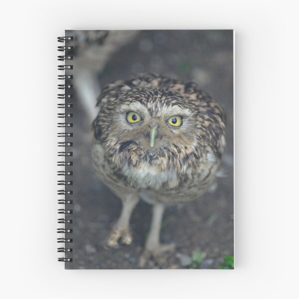 Item preview, Burrowing Owl designed and sold by Simone Kelly.