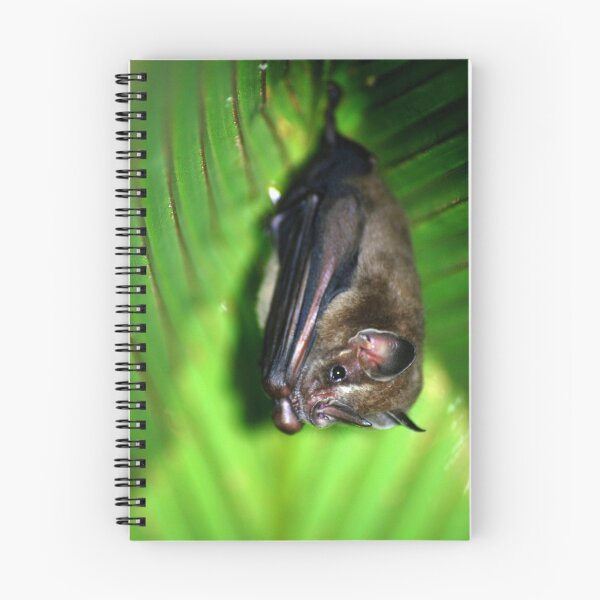 Item preview, Tent-making Bat - Costa Rica designed and sold by Jason Weigner.