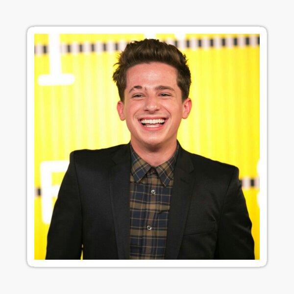 "Charlie Puth Smile" Sticker For Sale By Brunocriss | Redbubble