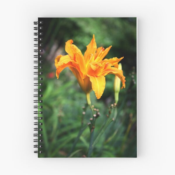 Item preview, Orange Flower designed and sold by Steven Jacobs.